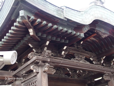 高台寺 勅使門 P5010575