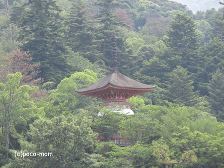 宮島 IMG_1013