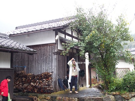 蓮通寺 PA220022