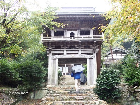 正応寺 長浜 PA220080