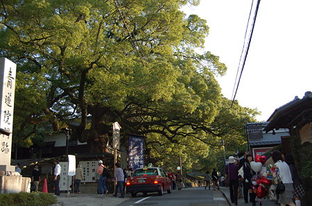 京都青蓮院