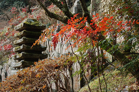 正暦寺DSC_0824