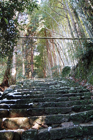2011年01月09日_DSC_0054