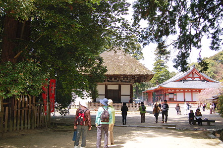 2011年04月17日_DSC_0091観心寺建掛塔と本堂
