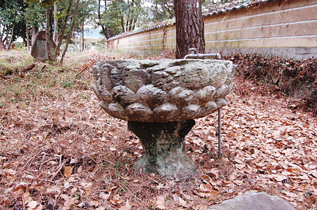 2011年05月03日_DSC_0503