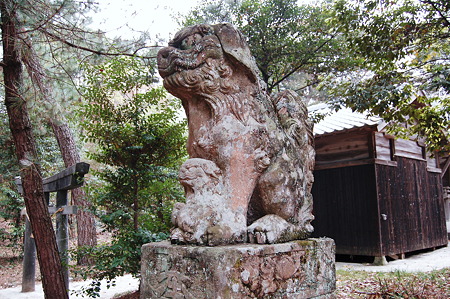 2011年05月03日_DSC_0510