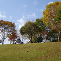 Photos: 秋の公園