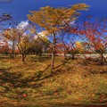 秋景　駿府城公園　360度パノラマ写真 HDR