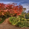 駿府城公園 紅葉山庭園の紅葉　360度パノラマ写真（５）