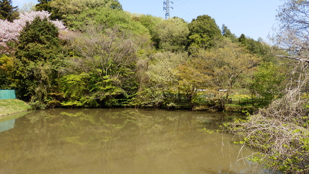 五郎池という名の池
