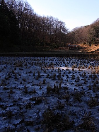 こども自然公園