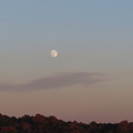 Photos: 夕暮れの月