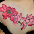 ハス Lotus tattoo