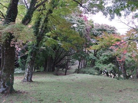 PB020644