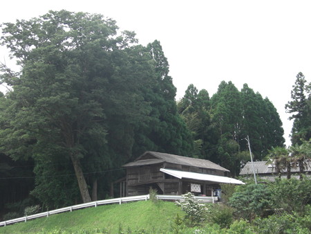 ケヤキ屋敷