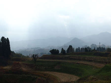 PC011468