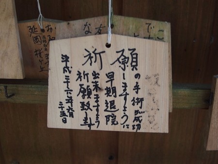 PC041594e