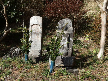 PC141688