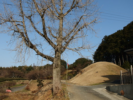 P1112260