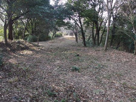P1112289 - コピー