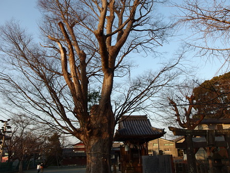 P1102211