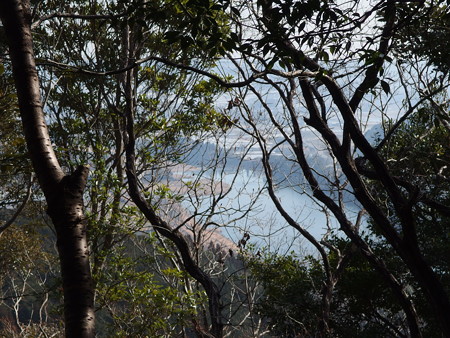 P1182319