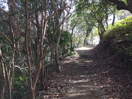 P1182325