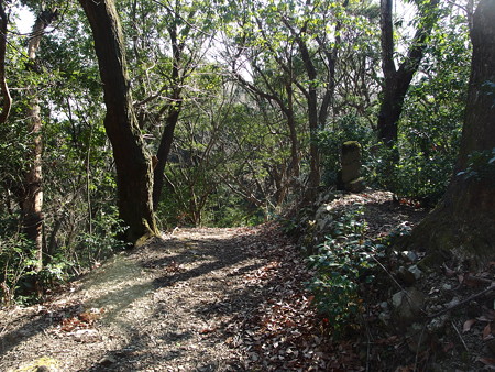 P1182355