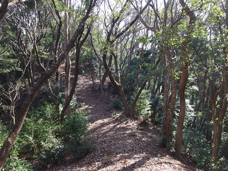 P1182359