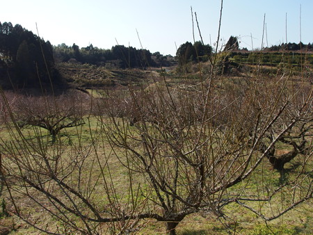 P2032495