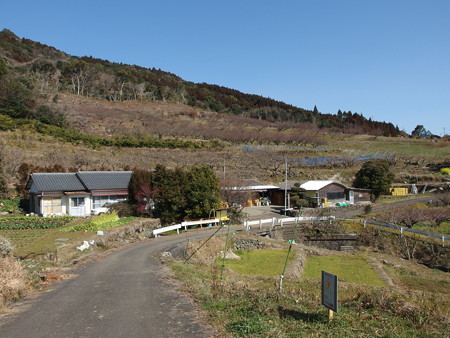 P2032504