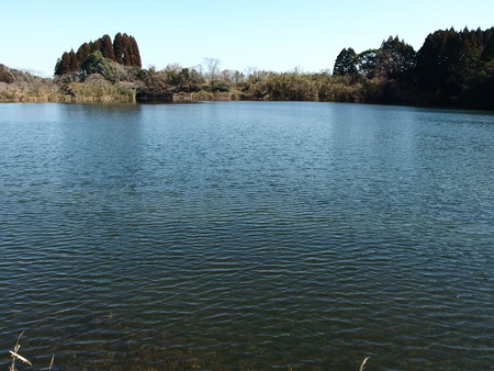 P2032530