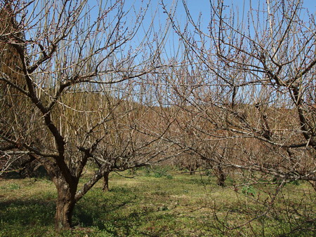 P2032534