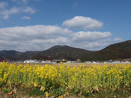 P2062570
