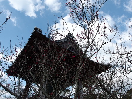 P2062588