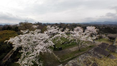 IMG_20170409_134130