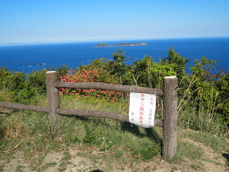 P4232033
