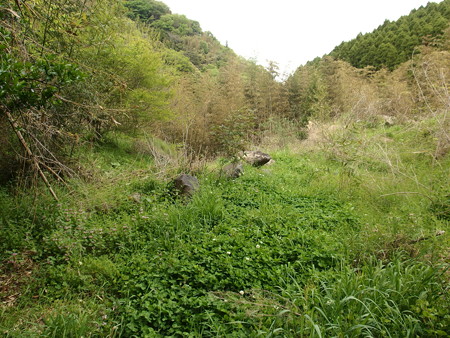 P4250064