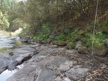 P4250096