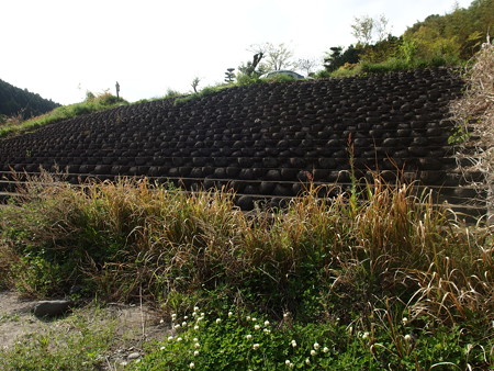 P4250101