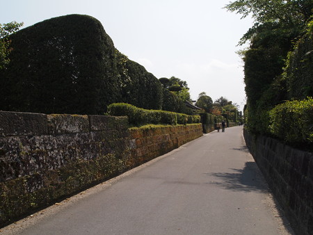 P4290165