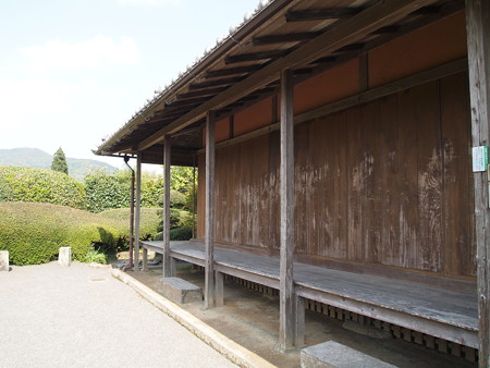 P4290206