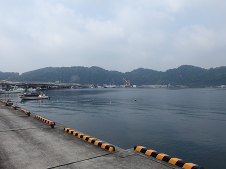 P4302230
