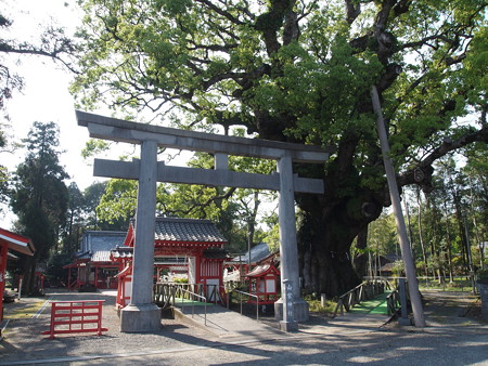 P4300455
