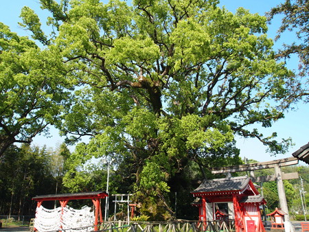P4300457