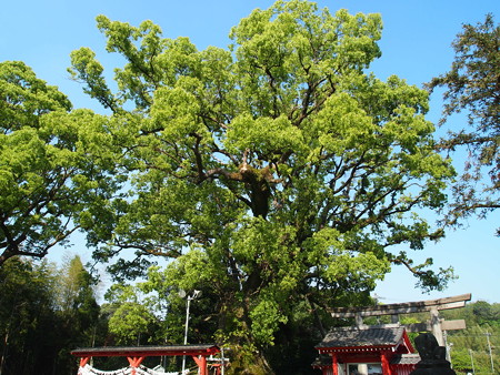 P4300473