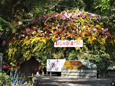 P4300475