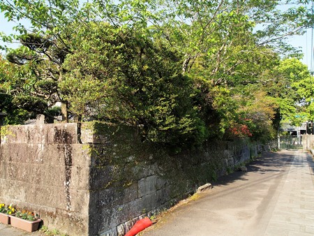 P4300536