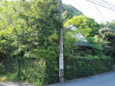 P4300560