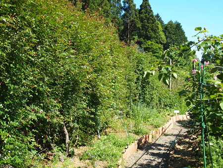 P5191010
